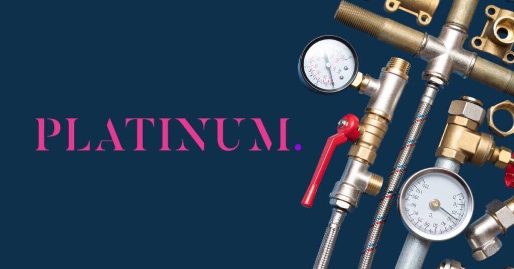 Platinum Industries IPO 1 Platinum Industries IPO