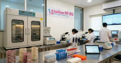 Gaudium IVF IPO Analysis